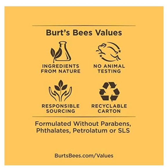 Burt Bees Coconut & Pear/ Vanilla Bean *Free Giant chapstick 18 pk - Picture 5 of 8